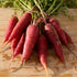 Dragon Carrot